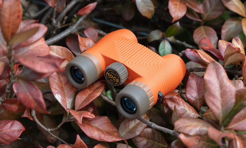 Poppy II (Orange) Standard Issue 8x25 Waterproof Binoculars product image #2